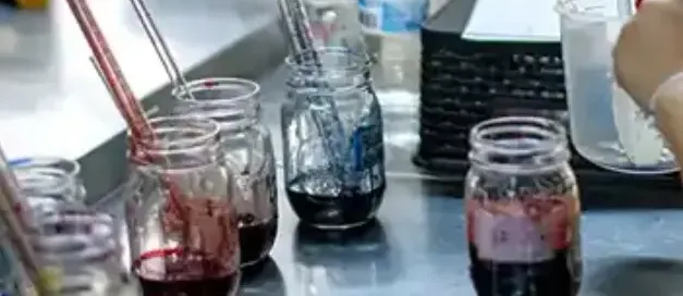 What is Lab Dip